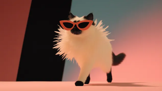 メガネをかけてランウェイを闊歩するファッショナブルな猫 2K 壁紙