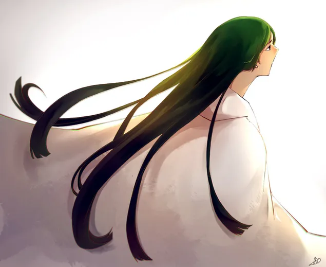 fate grand order - enkidu download