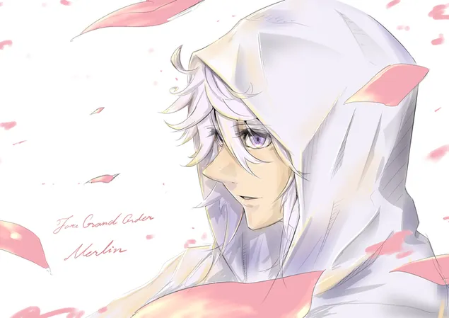 Likimas / Didysis ordinas: Merlin 4K ekrano užsklanda