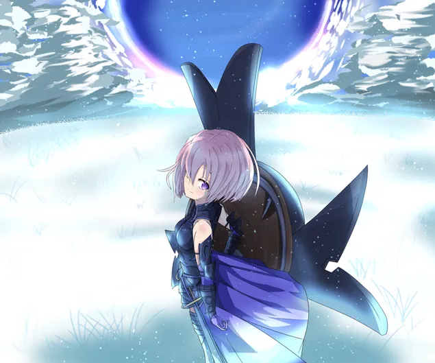 fate grand order - shielder download