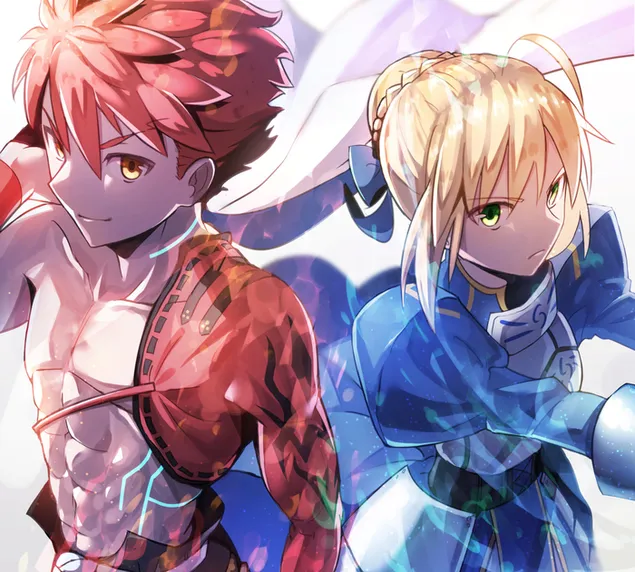 fate/grand order - shirou emiya & artoria pendragon download
