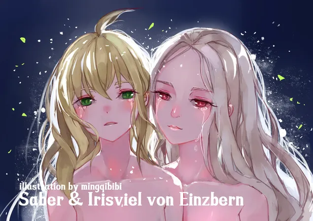 Судбина/Нула - Сабја и Ирисвиел фон Ајнцберн 2K тапет