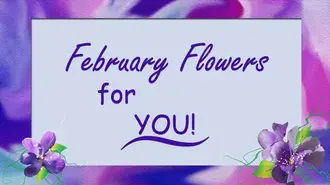 Februar Blummen ... HD Tapeten