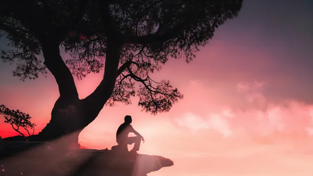 Tapeta Pociťte atmosféru přírody o samotě 4K