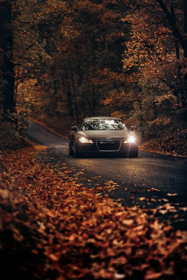 Fekete Audi R8 jármű a fák között, nappal letöltés