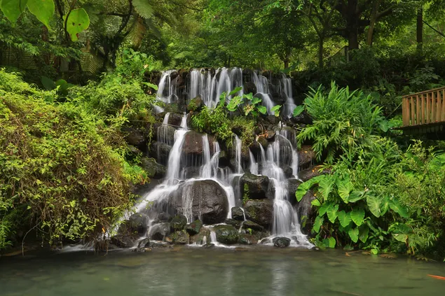 Felsiger Wasserfall im Wald