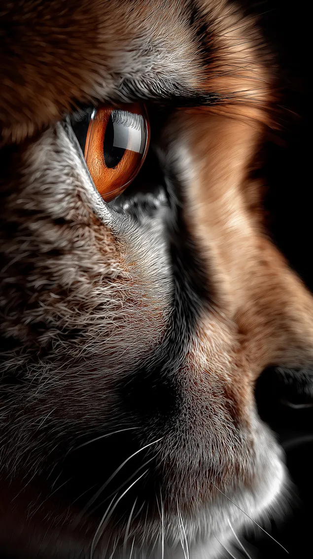 fokus makro i syrit te gepardit te eger dhe detaje te struktures se qimeve shkarkim