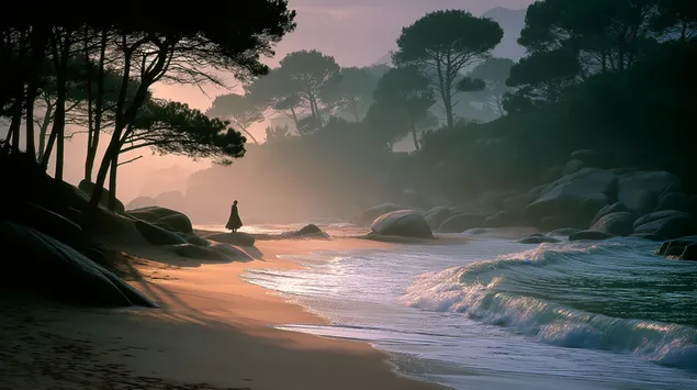 figure ne nje breg te mjegullt ne muzg me vale te buta shkarkim