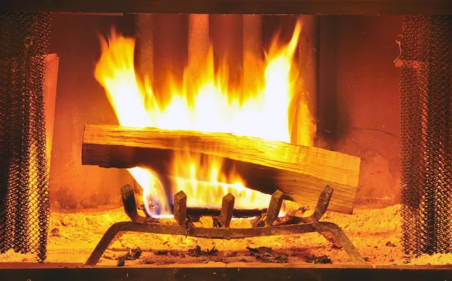 Firepit Firewood