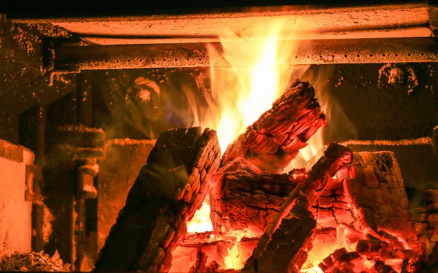Fireplace Firepit Fire at Home