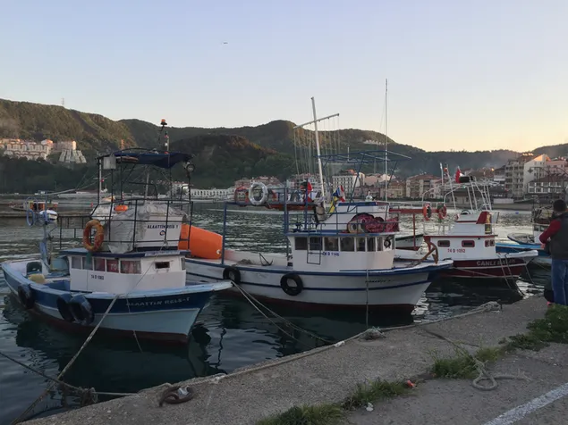 barcos de pesca - amasra descargar