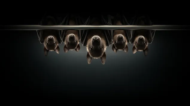 pese lakuriqe nate varur permbys ne nje mjedis studioje te erret dhe me humor te keq shkarkim