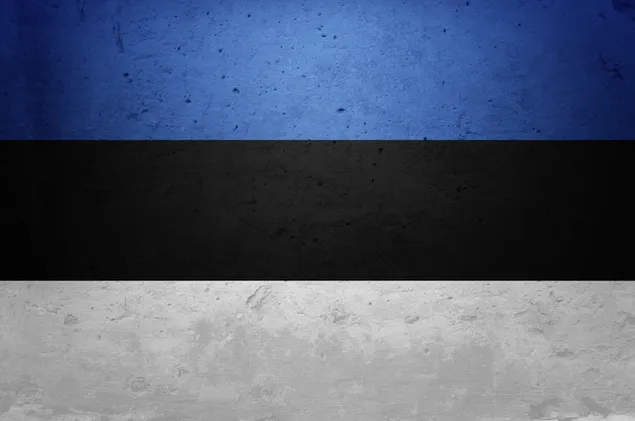 Estlands Flag 2K tapet