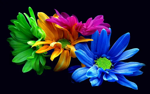 Flor de color natural