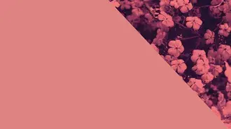 꽃 코너 배경 HD 배경화면