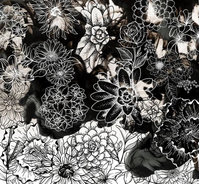 Blumenlilien herunterladen
