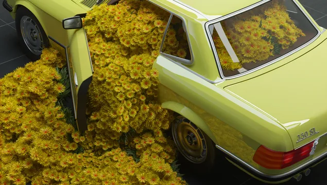 Flores amarillas dentro de Mercedes vintage amarillo con puerta abierta de una sola puerta