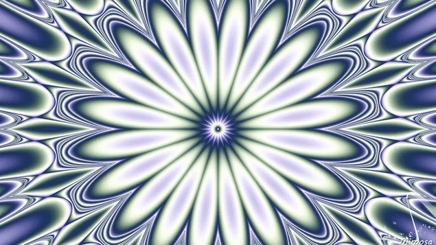 Caleidoscopio de flores #12 HD fondo de pantalla