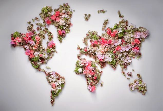 Peta Dunia Bunga HD wallpaper
