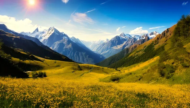 Blummen Feld Mat Bierger Landschaft 2K Tapeten