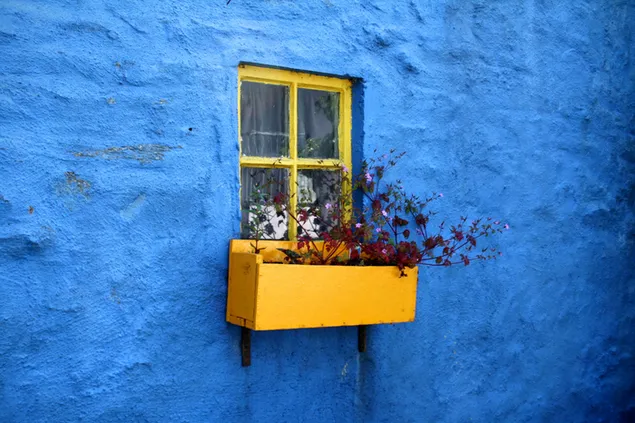 窓際の青い壁に鉢植えの花 4K 壁紙