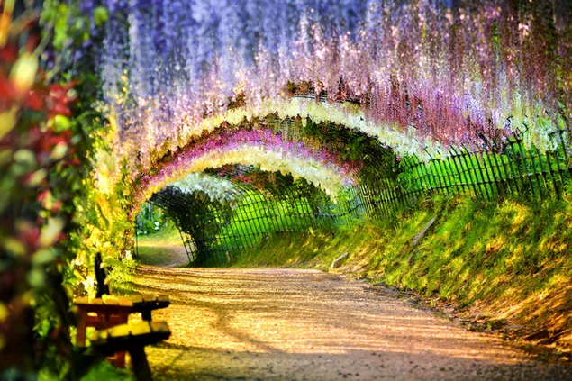 Camino de túnel para caminar florido y arbolado que combina todos los colores de la naturaleza. 2K fondo de pantalla