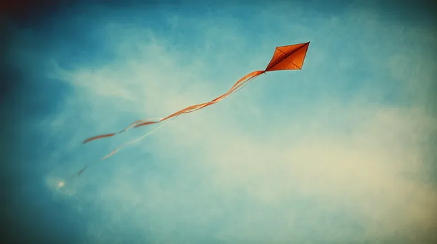 fluturimi i qiftit fluturon lart ne nje atmosfere me re te larget shkarkim