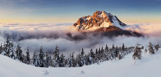 Nubi di nebbia che si formano intorno agli alberi innevati e alle cime innevate in inverno 6K sfondo