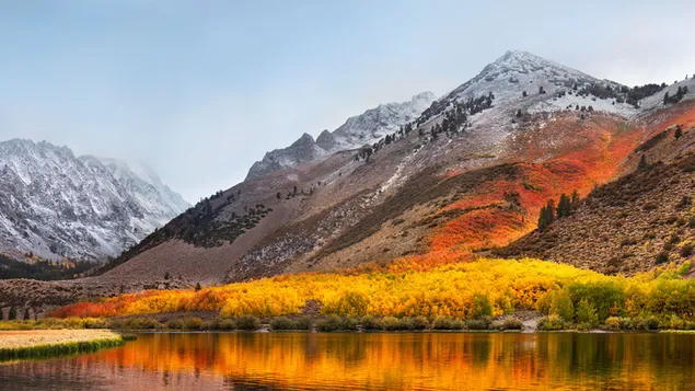 Nubes de niebla en la cima de montañas nevadas con plantas y árboles amarillos reflejados en el lago 4K fondo de pantalla