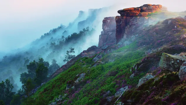 Tåke i steinene HD bakgrunn