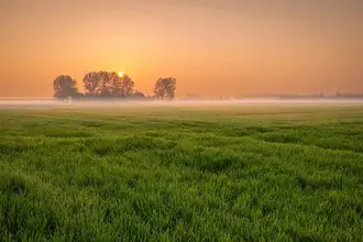 paesaggio nebbioso del campo scarica