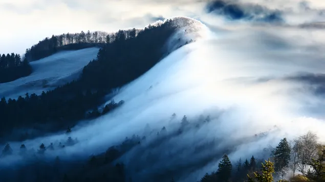 霧の森と山