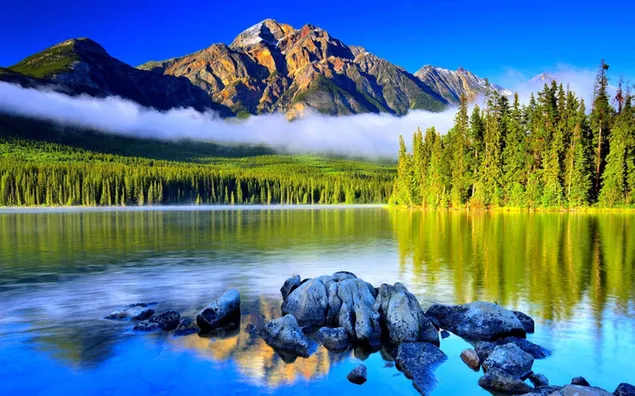 森と岩の多い丘の霧の湖の景色