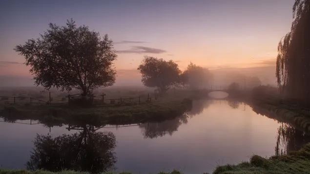 You Wu De Zao Chen Hu Xia Zai