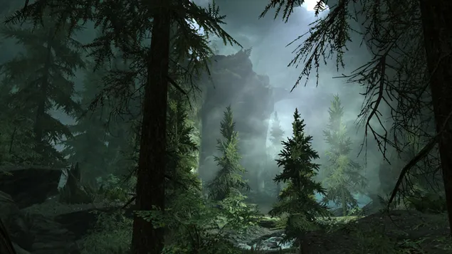 森の中の霧の夜