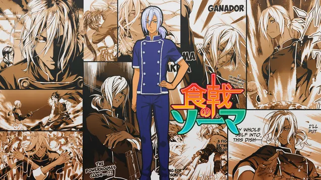 guerres alimentaires&nbsp;! shokugeki no soma - akira hayama telechargement