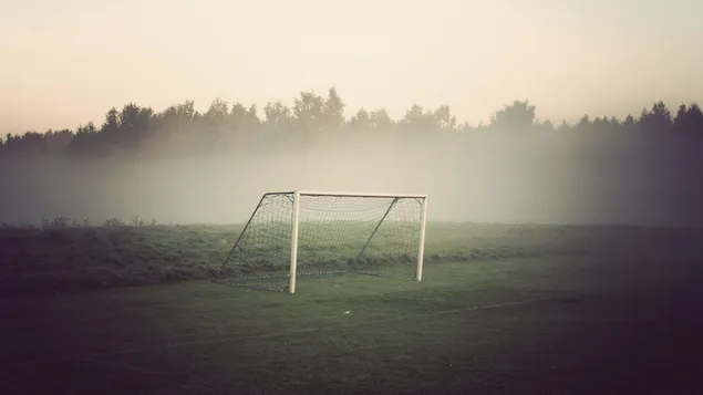 Football net in the ground