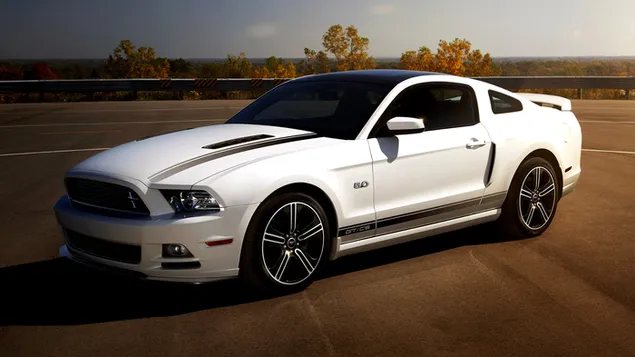 Hình nền Ford Mustang 5.0 GT California Special 2012 02 HD