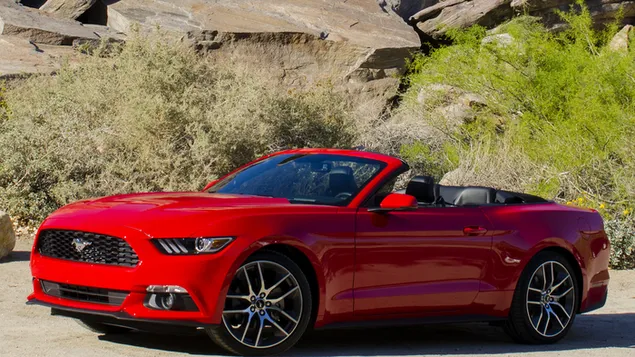 ford mustang ecoboost convertible 2015 01 tai xuong