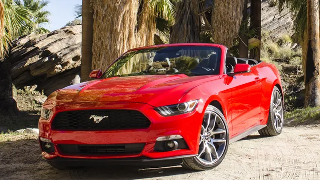 ford mustang ecoboost convertible 2015 02 tai xuong