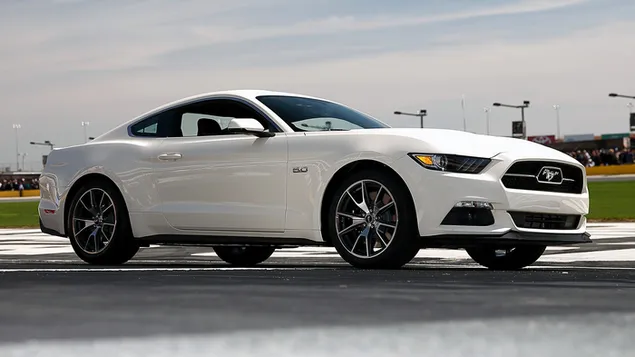 fwrd mwstng gt 50 years edition 2015 05 brgyry khnyd