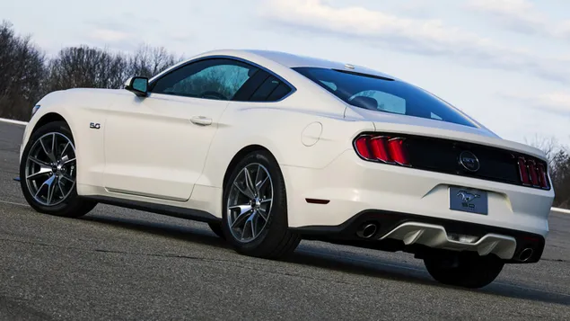 fwrd mwstng gt 50 years edition 2015 07 brgyry khnyd