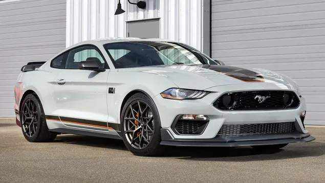 پکیج هندلینگ فورد موستانگ ماخ 1 2021 01 کاغذدیواری  HD