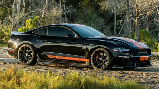 Páipéar balla Ford Mustang Shelby GT-S 2019HD