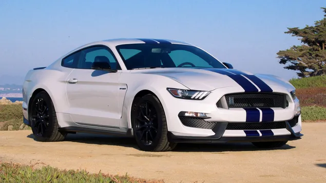 福特野馬謝爾比 GT350 2016 04 HD 壁紙