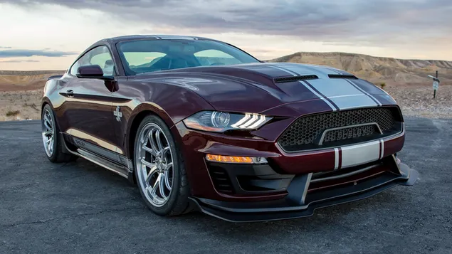 福特野马谢尔比超级蛇 2018 02 HD 壁纸