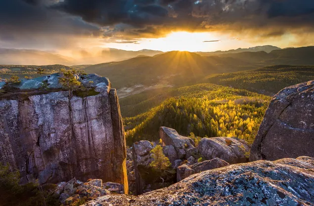 metsa ja kivet, jotka heraavat eloon auringon valossa lataa