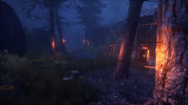 Taustakuva Metsän kävelytie 4K