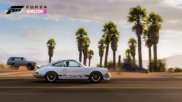 Forza Horizon 5 - Porsche 911 Turbo Race 4K wallpaper