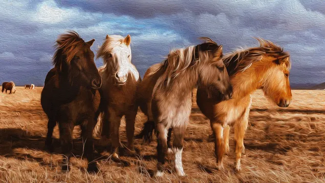 Four horses download